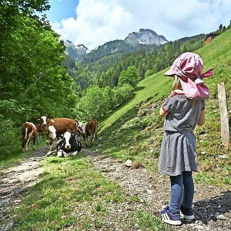 Bed And Breakfast - Die Aelplersuit Fuer Backpackers Im Berghuesli Linthal Екстериор снимка