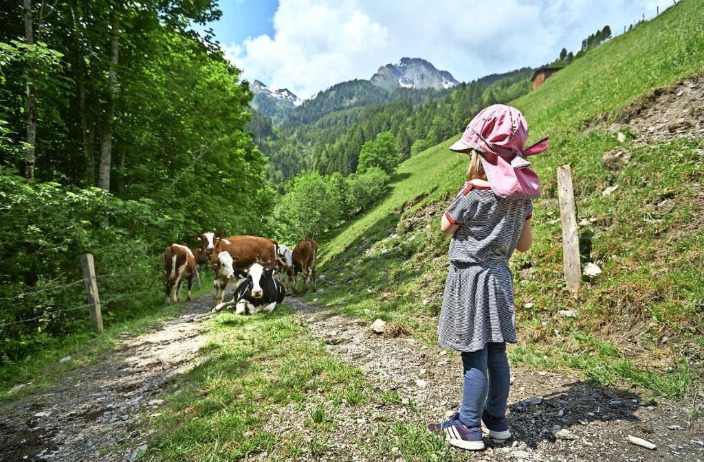 Bed And Breakfast - Die Aelplersuit Fuer Backpackers Im Berghuesli Linthal Екстериор снимка